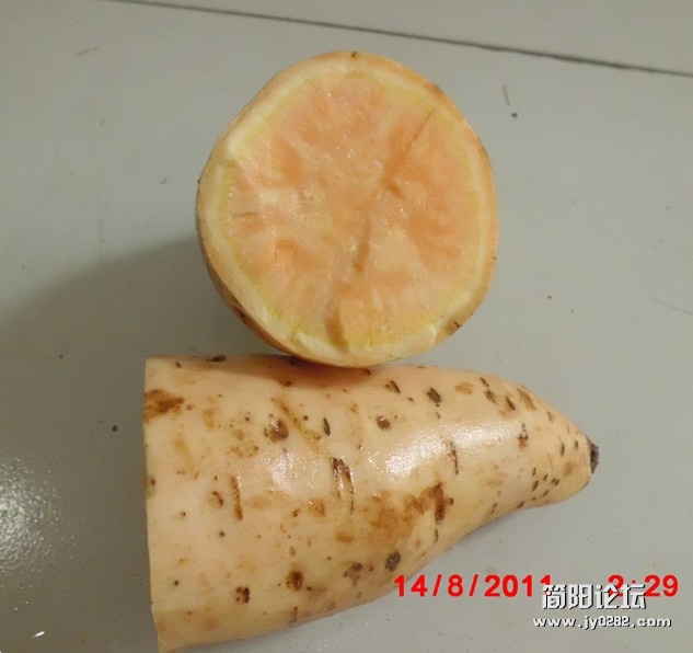 红24.jpg