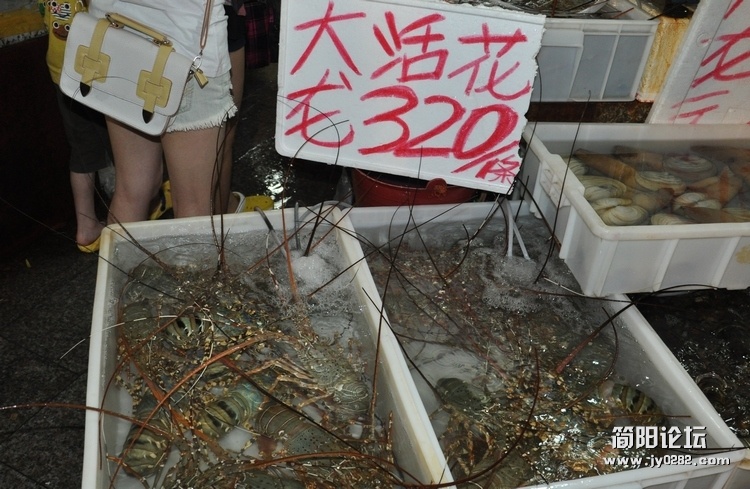 DSC_0535.jpg