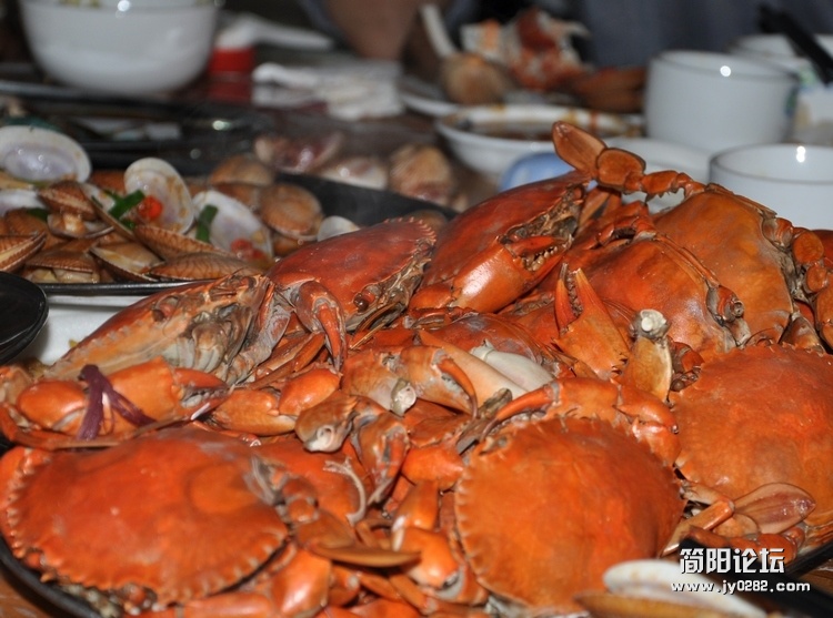 DSC_0586.jpg