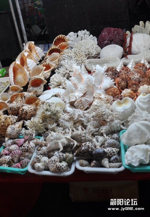 DSC_0604.jpg