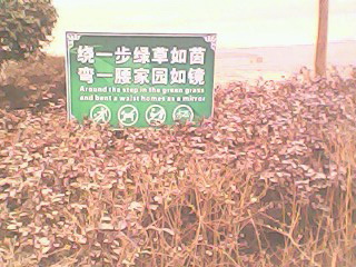 IMG0114A.jpg