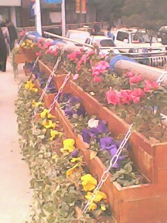 IMG0127A.jpg
