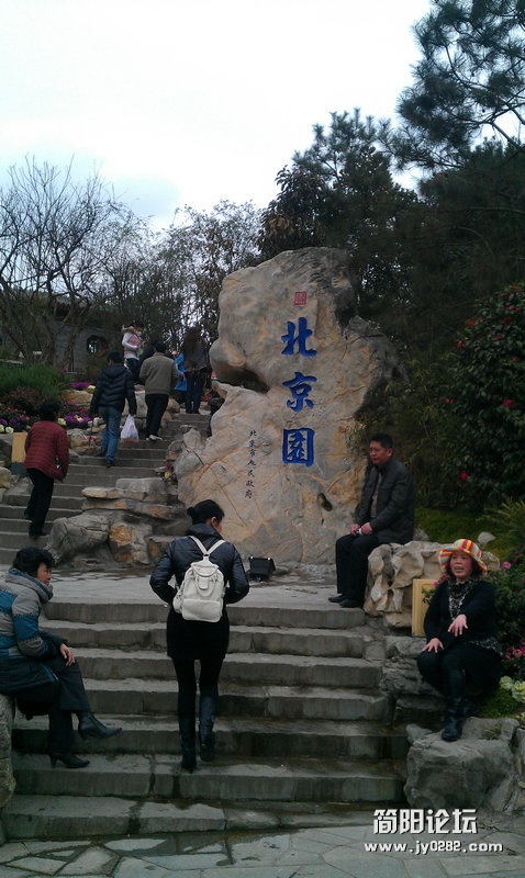 IMAG0185.jpg