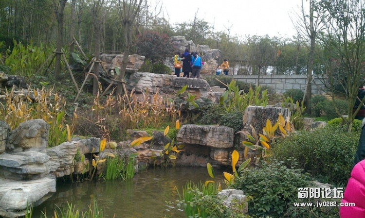 IMAG0196.jpg