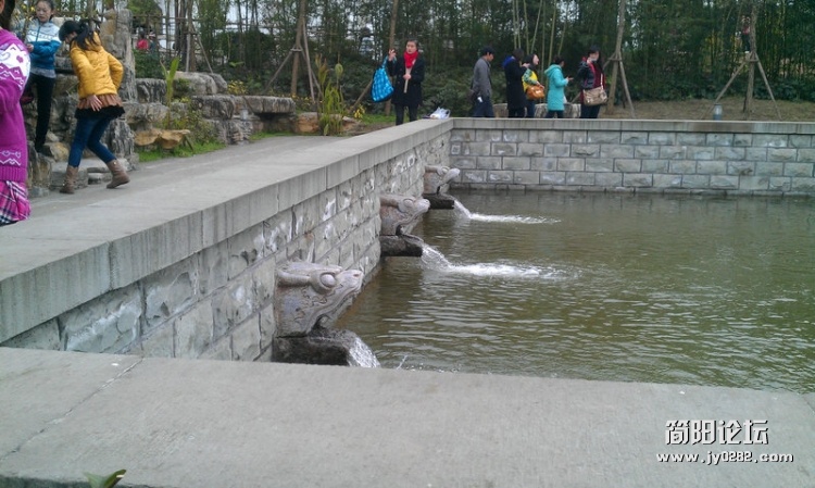 IMAG0199.jpg