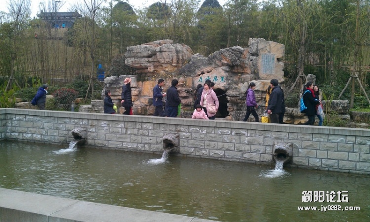 IMAG0202.jpg