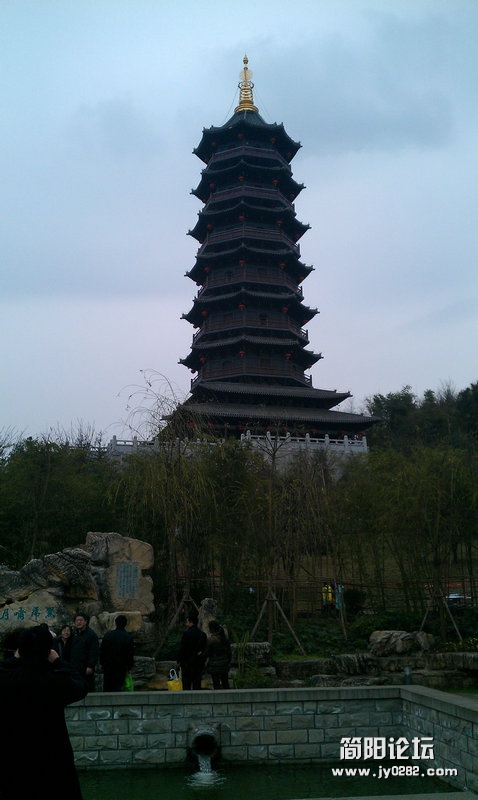 IMAG0203.jpg