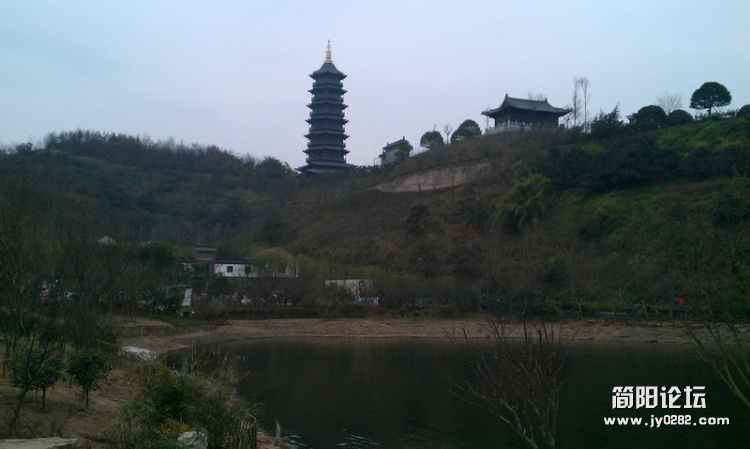 IMAG0217.jpg