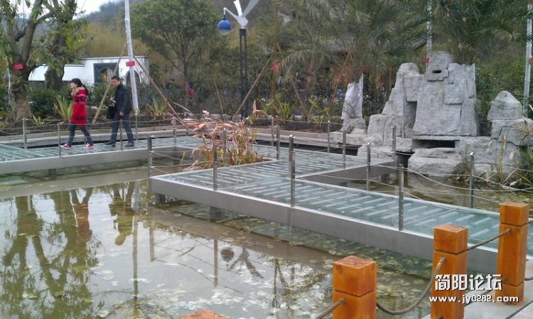 IMAG0228.jpg