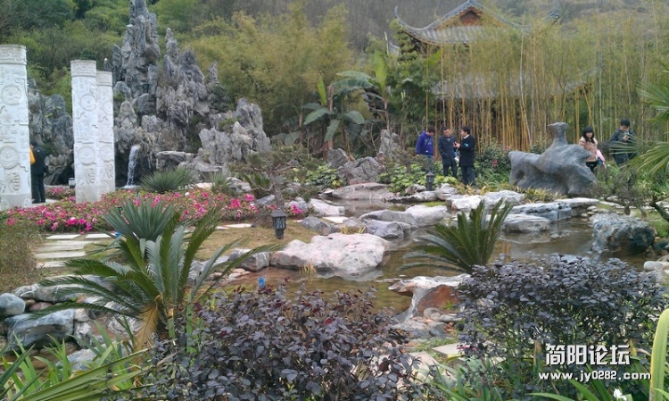 IMAG0230.jpg