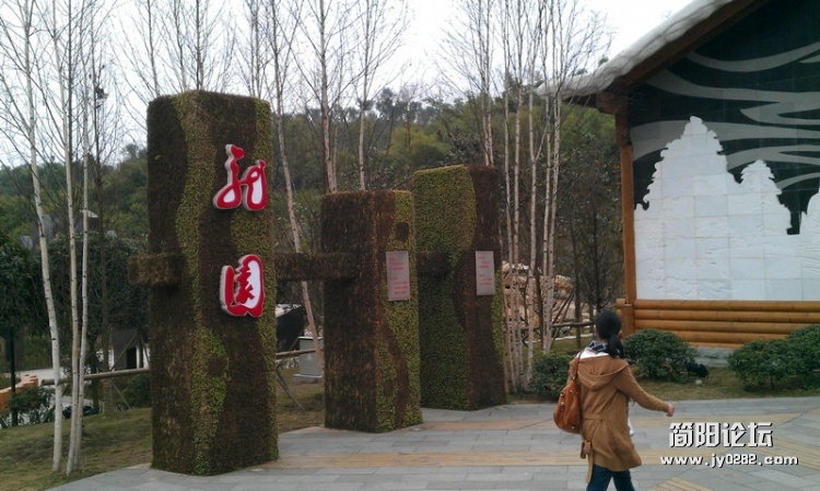 IMAG0246.jpg