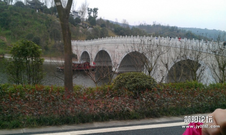 IMAG0170.jpg