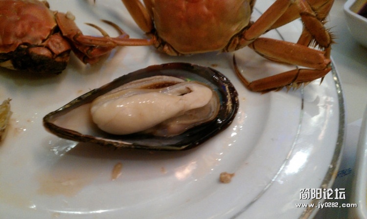 IMAG0284.jpg