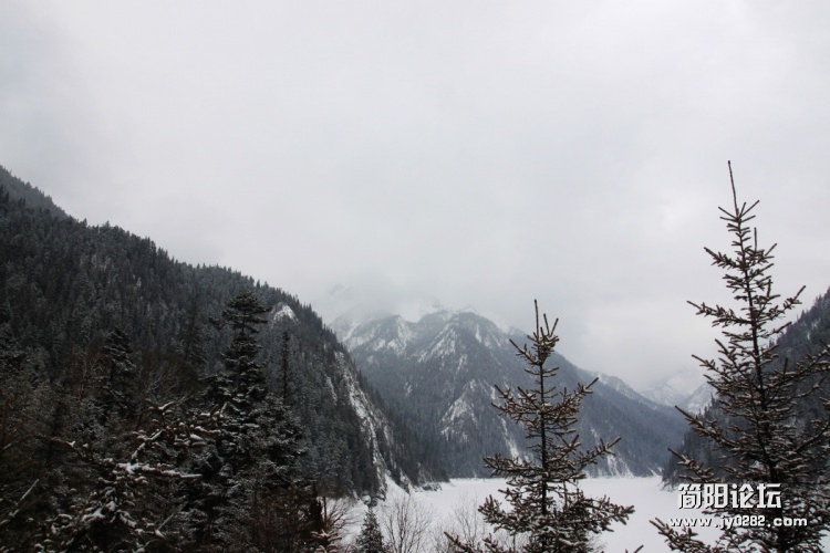 IMG_3522.jpg