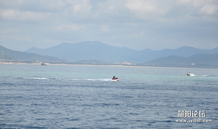 DSC_0706.jpg