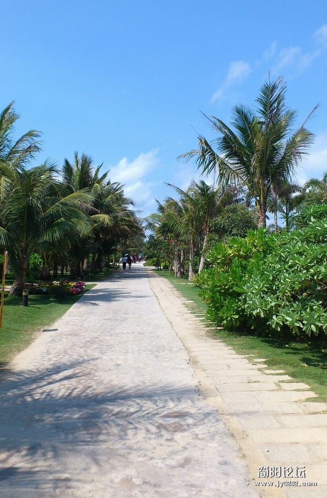 DSC_0109.jpg