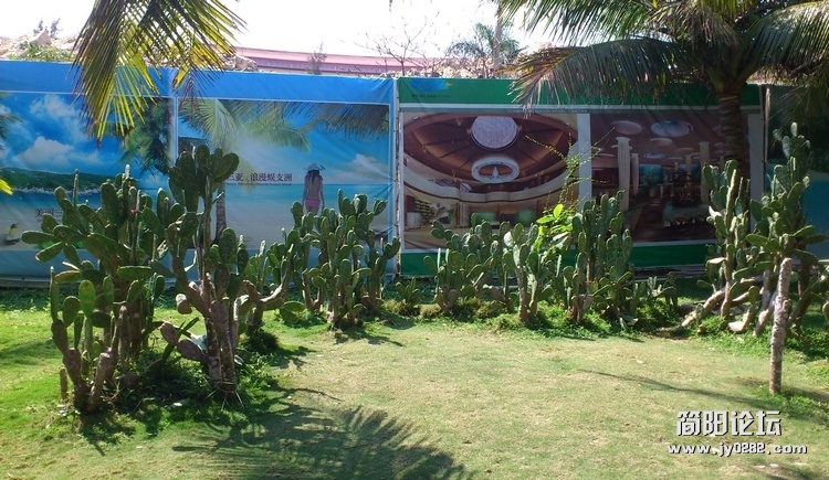 DSC_0110.jpg