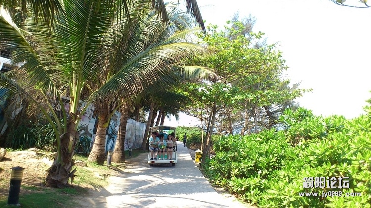 DSC_0116.jpg