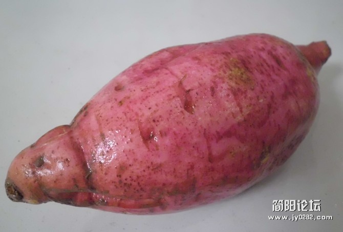 红20.jpg