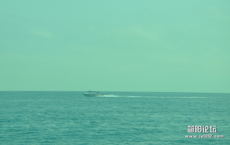 DSC_0849.jpg