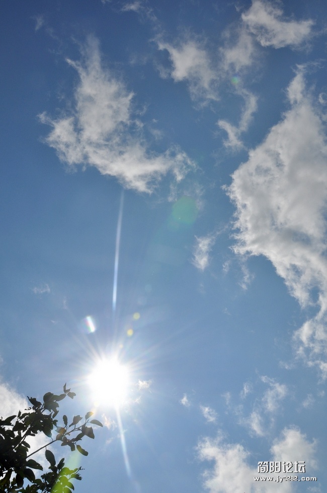 DSC_0885.jpg