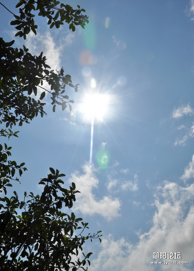 DSC_0886.jpg