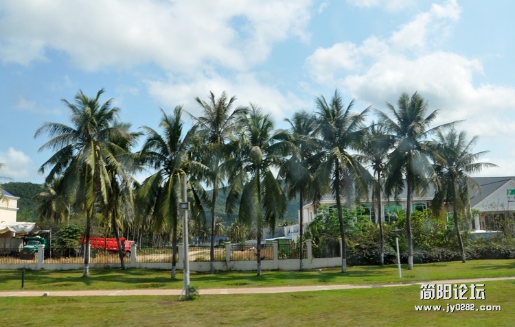 DSC_0901.jpg