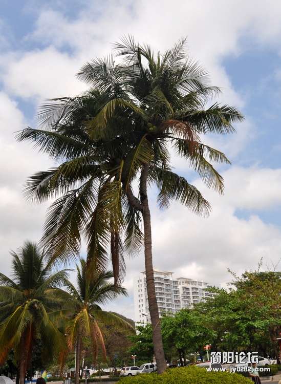 DSC_0921.jpg