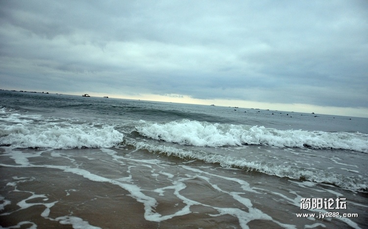 DSC_0007.jpg