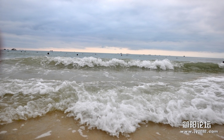 DSC_0017.jpg