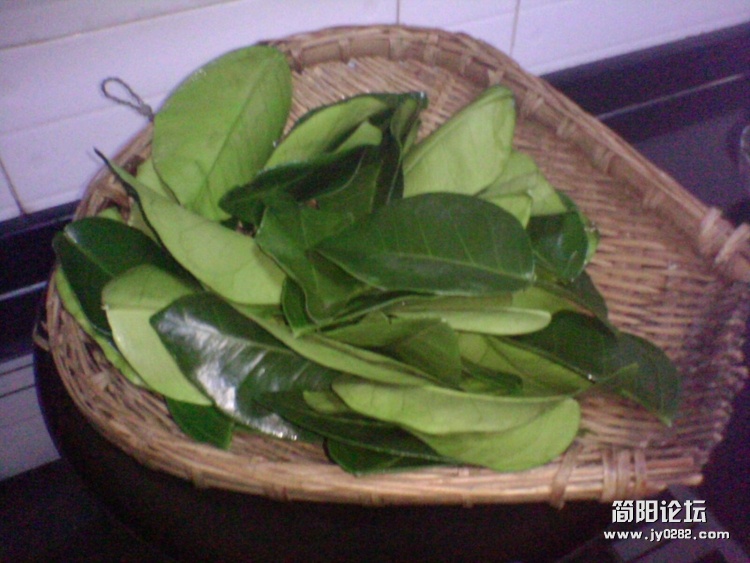 IMG1627A.jpg