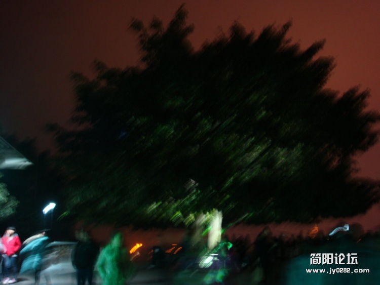 DSC05278.JPG