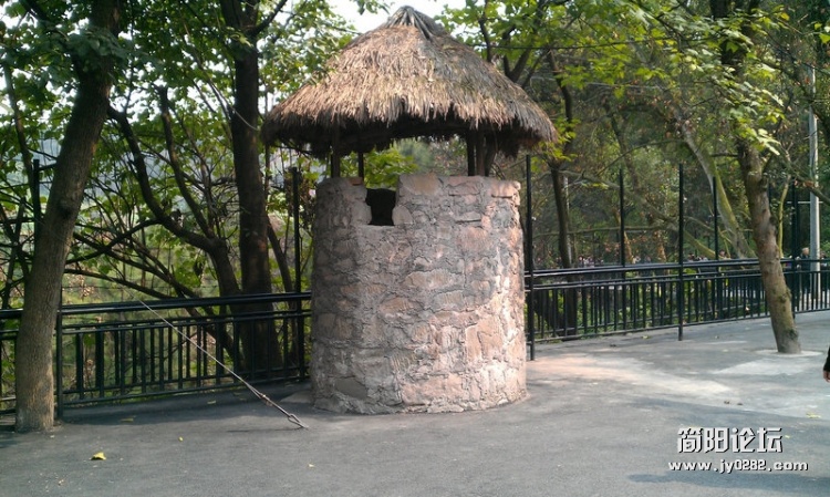 IMAG0303.jpg