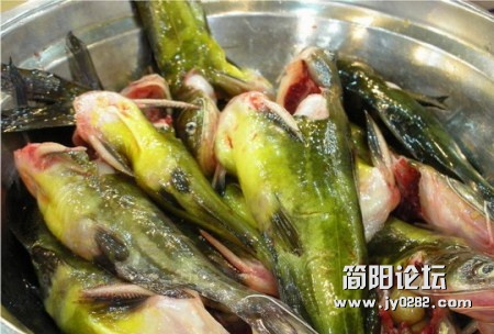 黄辣丁2.jpg