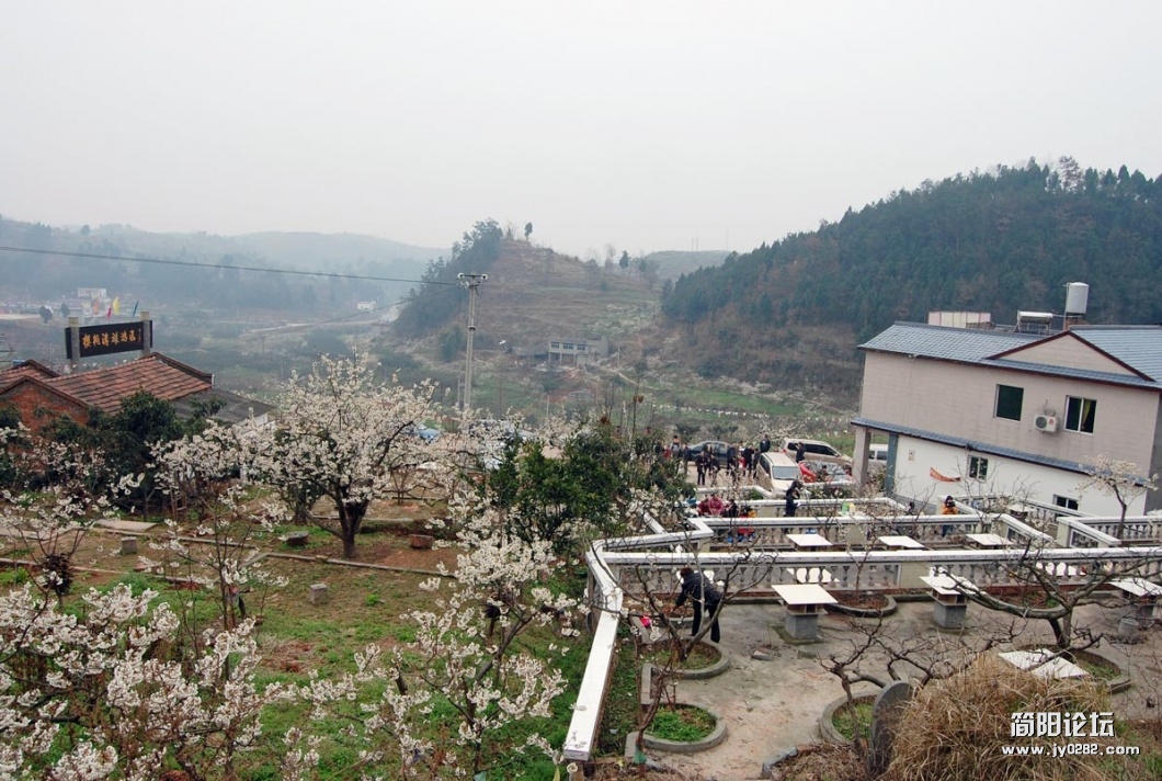DSC_1143.JPG