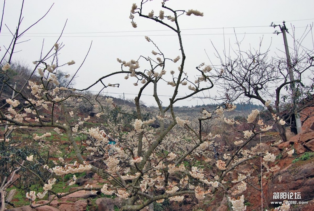 DSC_1152.JPG