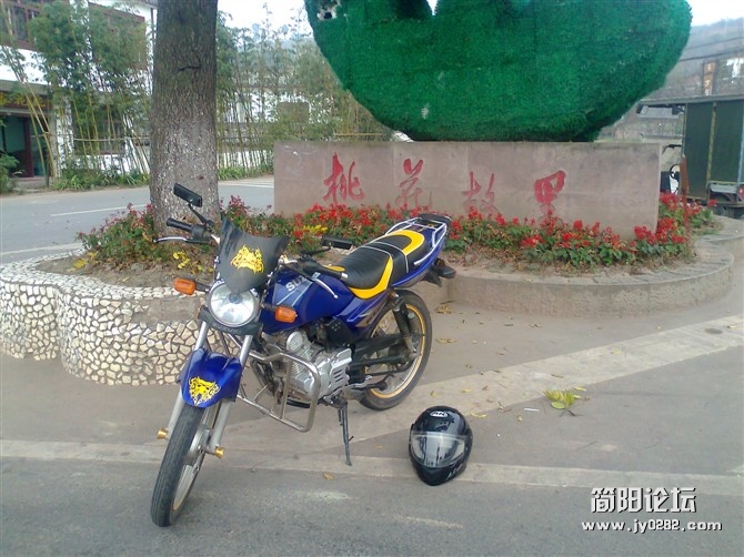 56.jpg