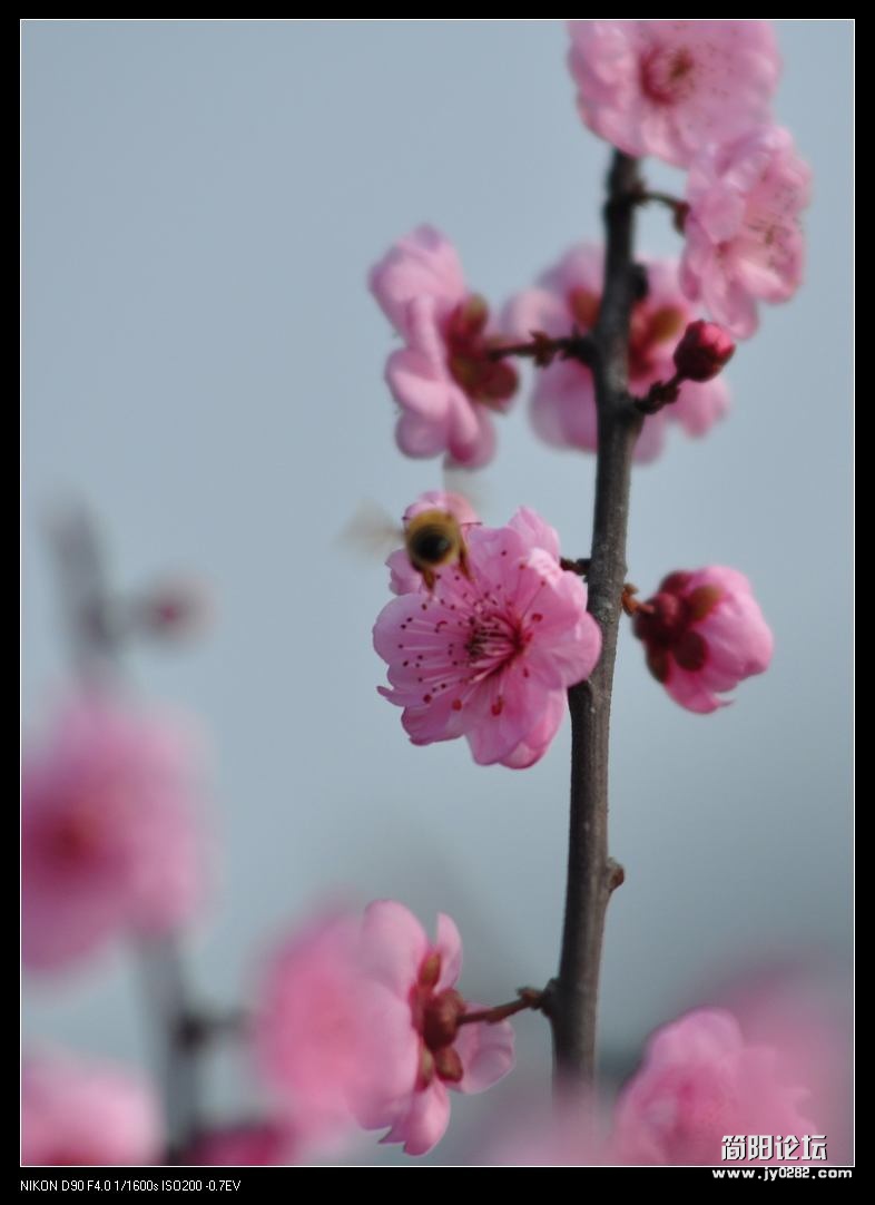 nEO_IMG_DSC_0424.jpg