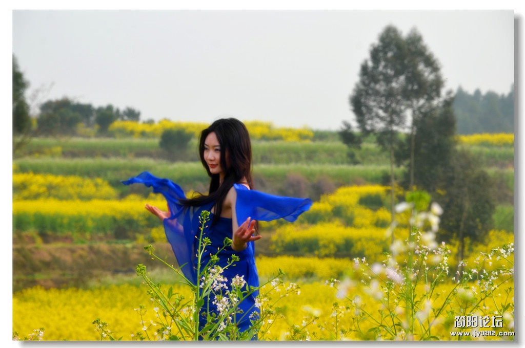 dsc_7981_副本.jpg