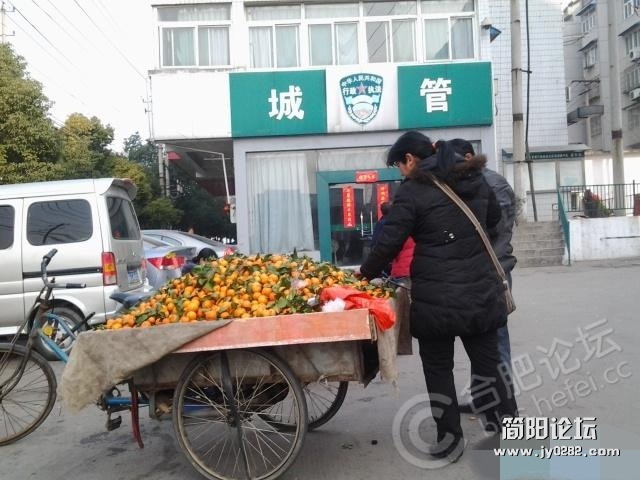 难得一见的和谐画面_副本.jpg