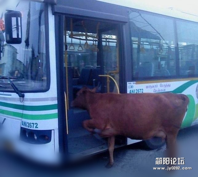 1331864726958_副本.jpg