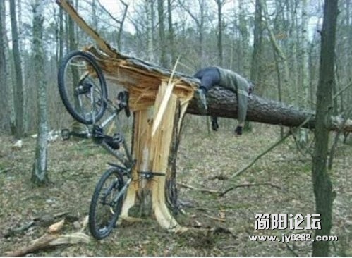 没有驾驶证的悲剧了.jpg