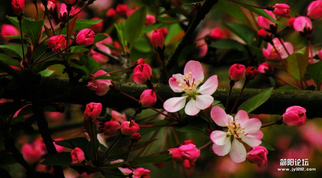 DSCN6356.JPG