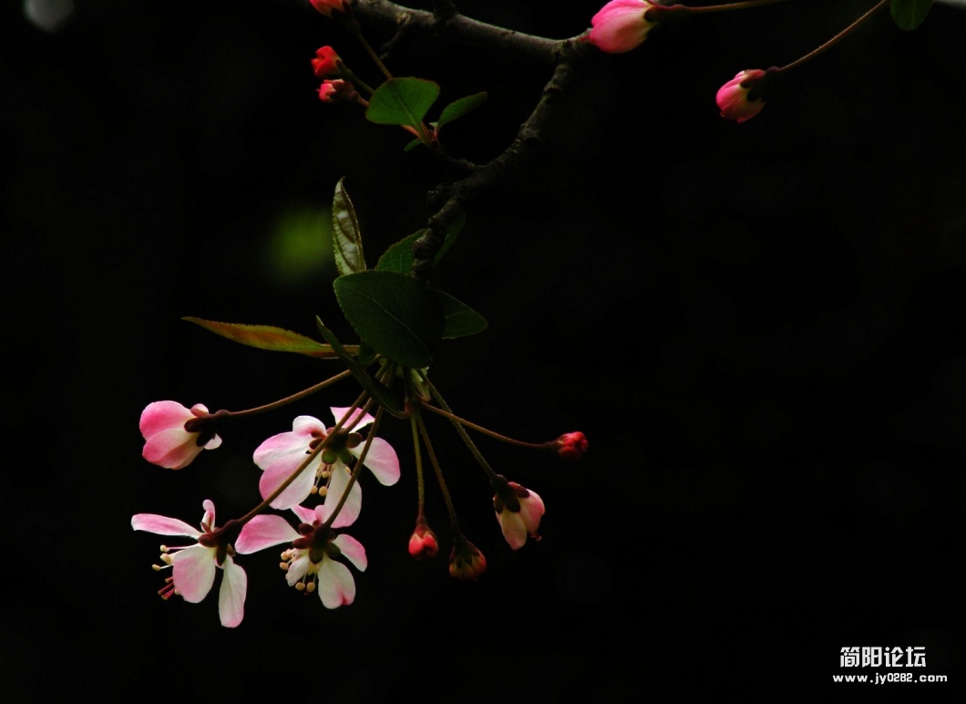 DSCN6368.JPG