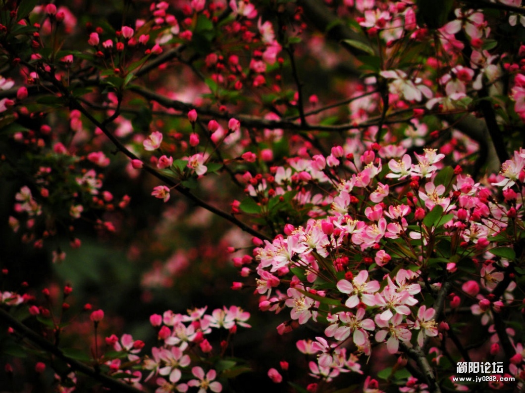 DSCN6393.JPG