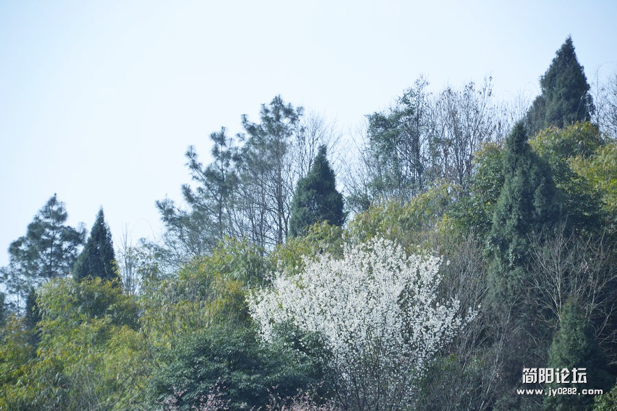 DSC_0047.jpg