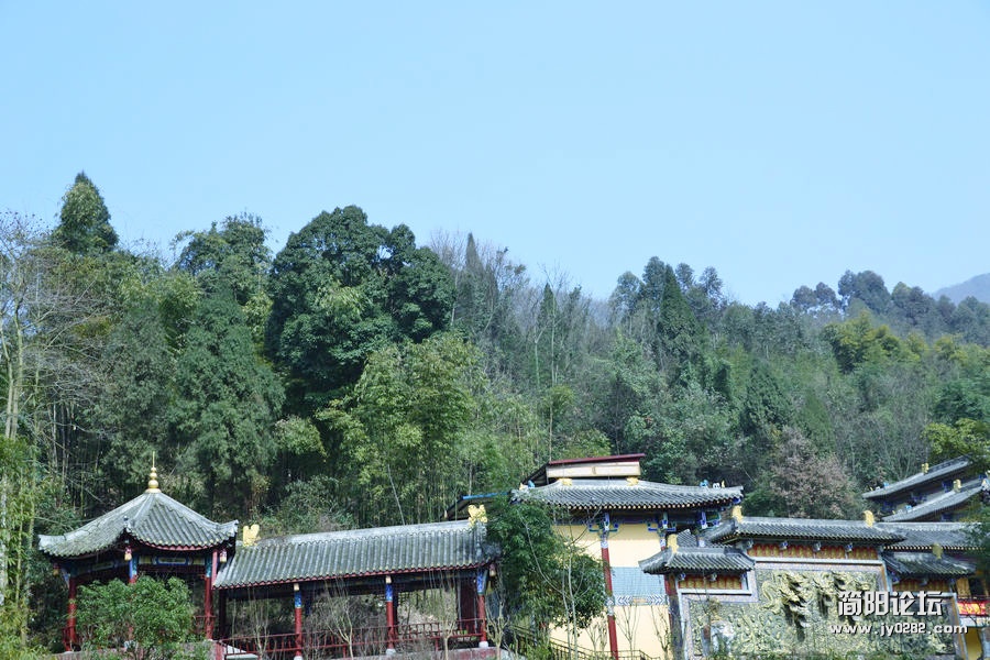 DSC_0094.jpg