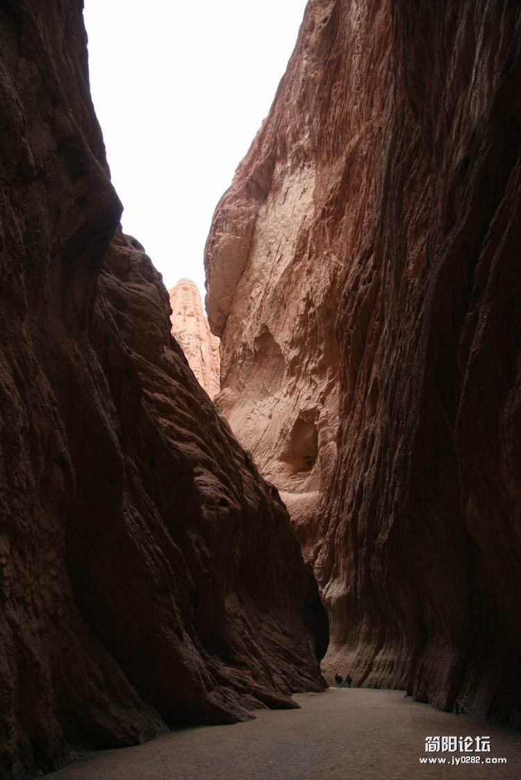 114.jpg