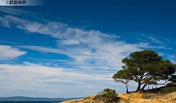 t (15).jpg