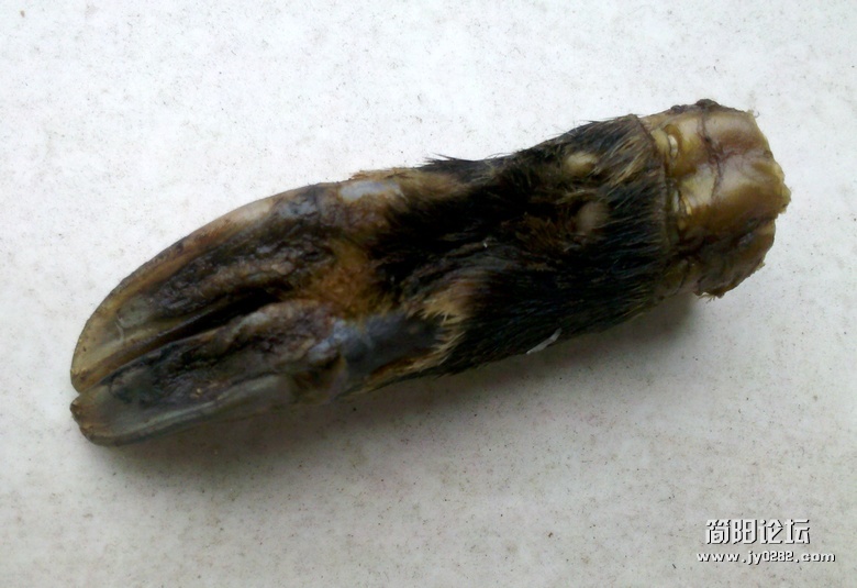 2012-03-23_17-21-11_547.jpg